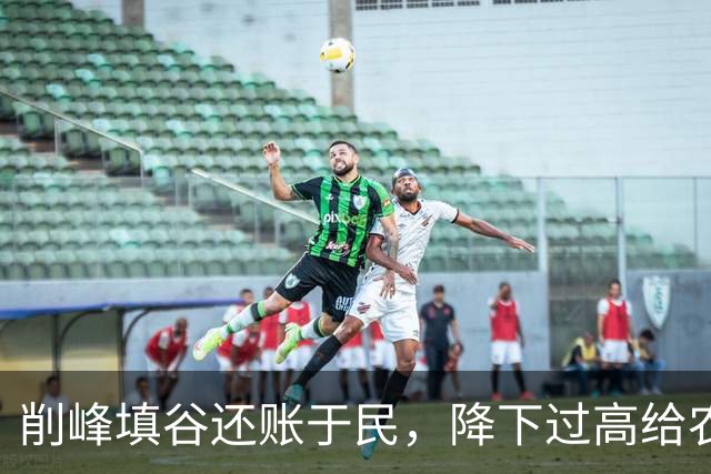 削峰填谷还账于民，降下过高给农民养老金补到1000可行性